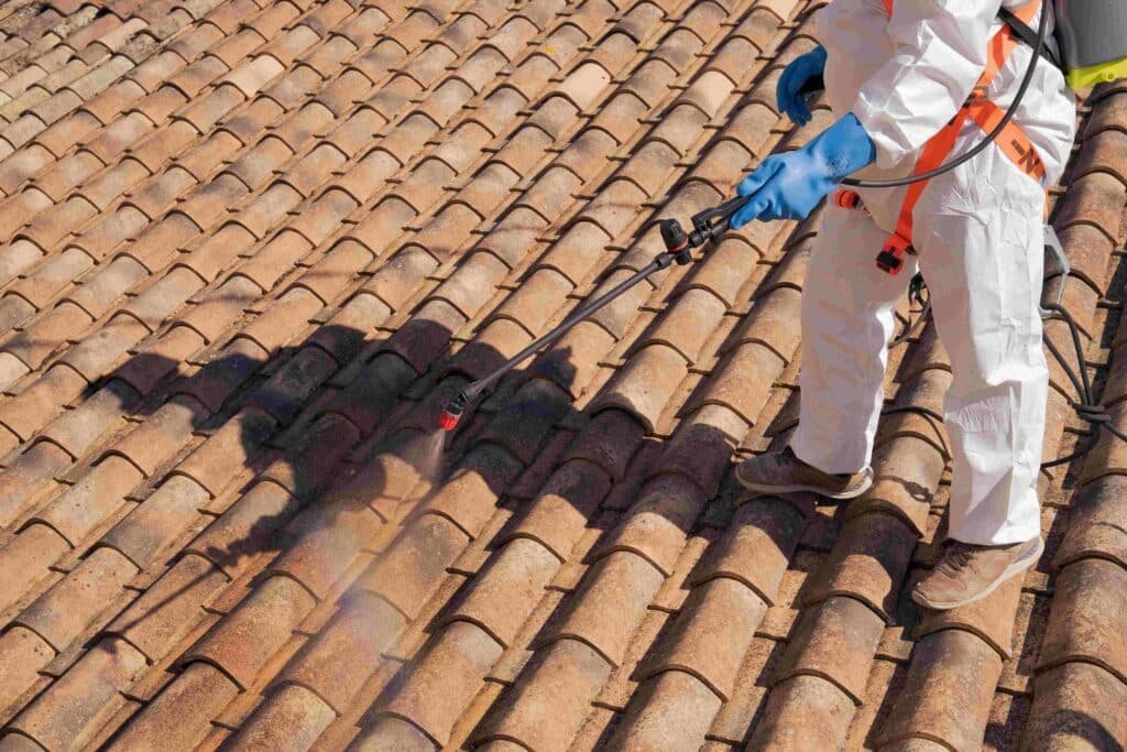 19924 575 dsc7149 nettoyer une toiture diapo 5 19924 575 dsc7149 nettoyer une toiture diapo 5