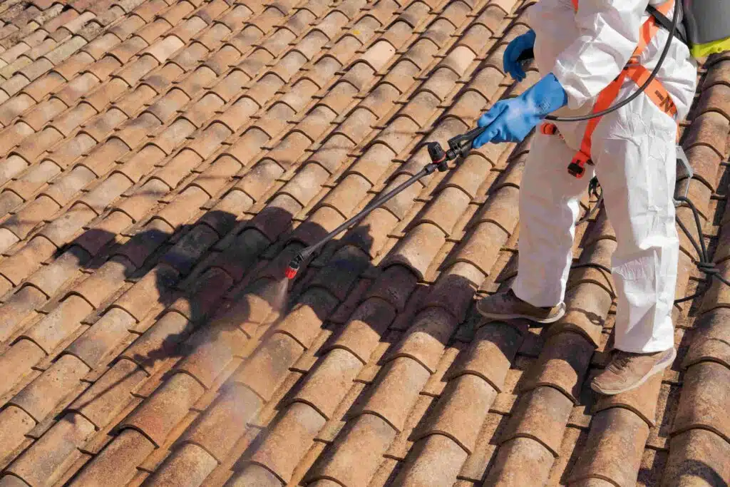 19924 575 dsc7149 nettoyer une toiture diapo 5